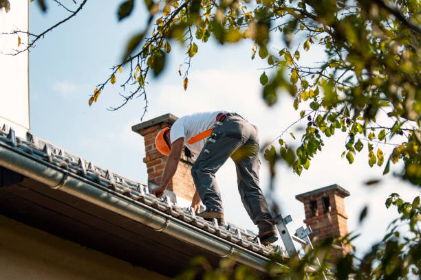 Best Commercial Roofing Services  in Danvle, IL