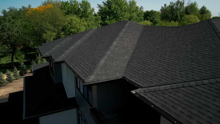 Best Rubber Roofing (EPDM, TPO)  in Danvle, IL