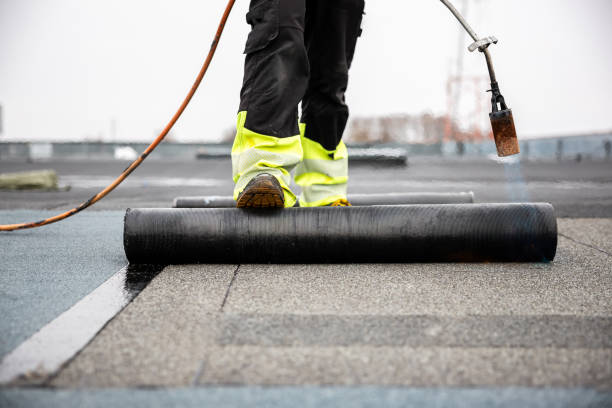 Best Roof Maintenance and Cleaning  in Danvle, IL