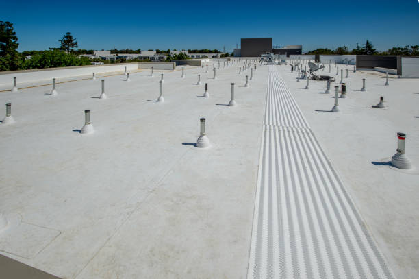 Best Metal Roofing Installation  in Danvle, IL